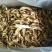 黄牛肝菌羊肚菌特级