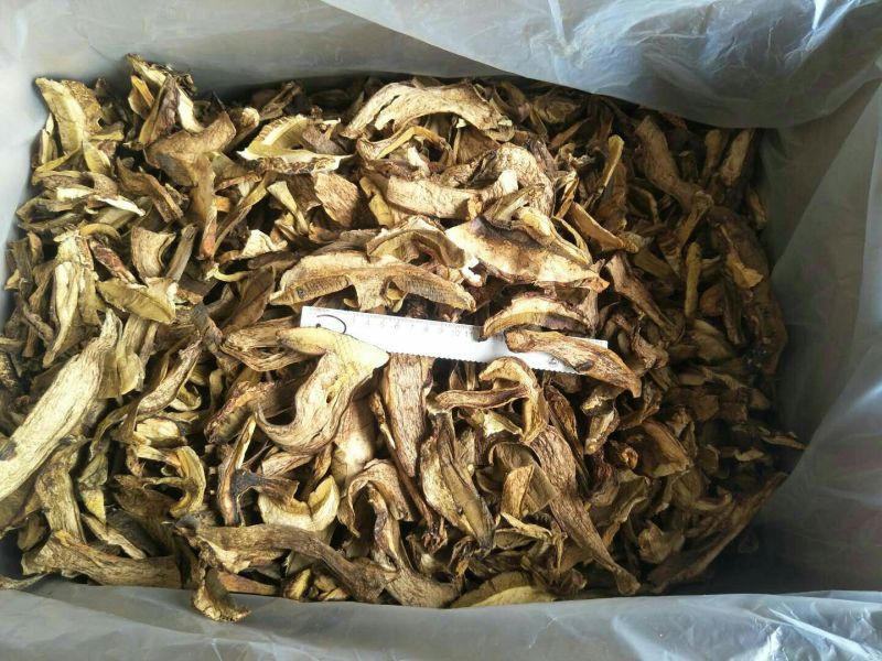 黄牛肝菌羊肚菌特级