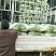 黄心菜白菜4~6斤净菜质量保证现采现发