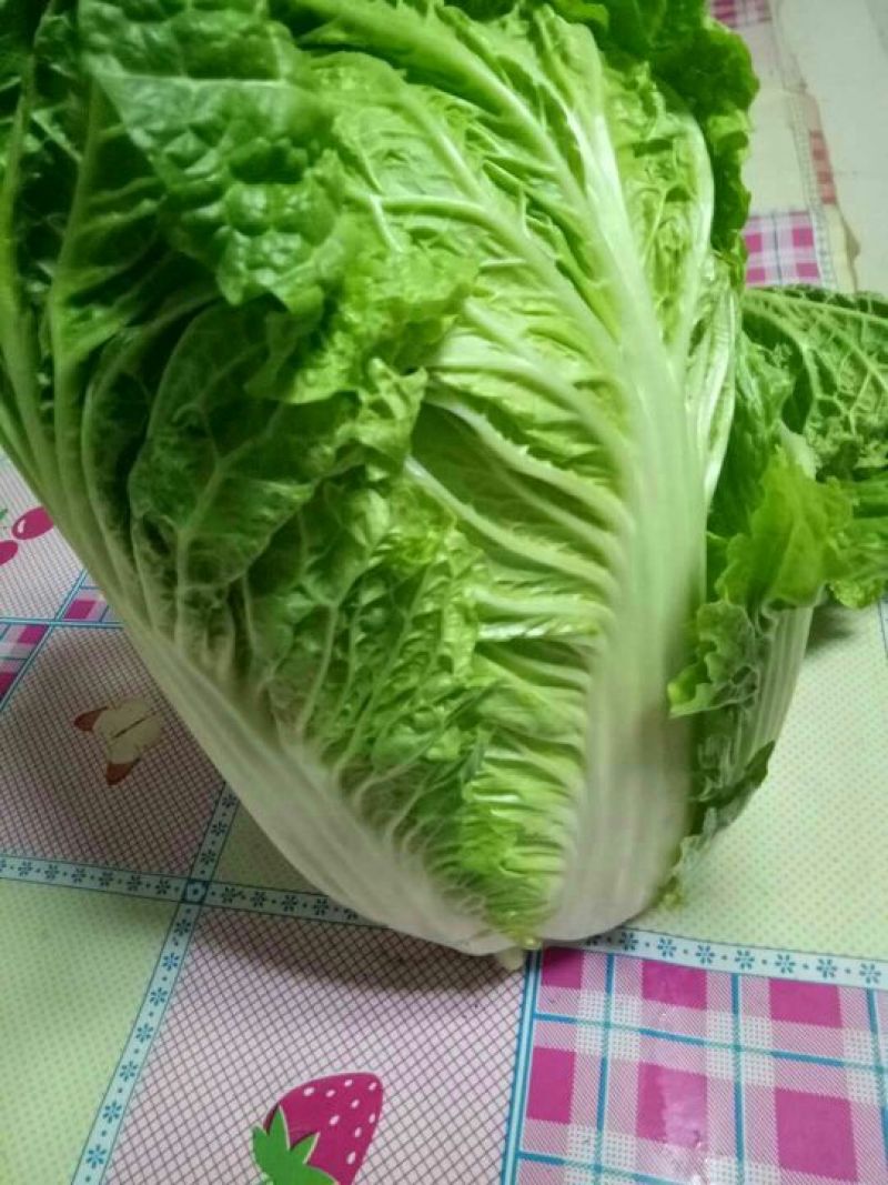 白菜4~6斤净菜，大量上市，欢迎采购