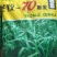 冬牧70黑麦草种95%以上