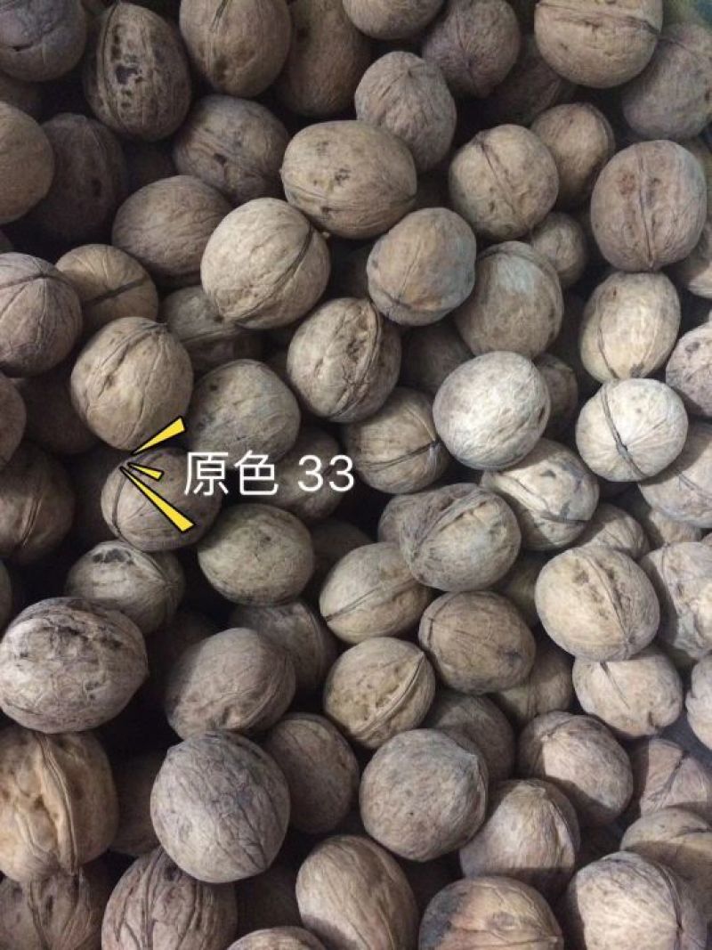 薄皮核桃去皮30mm以上干