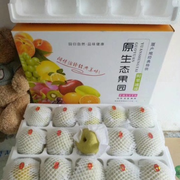 预售下年砀山梨250~300g纸加膜