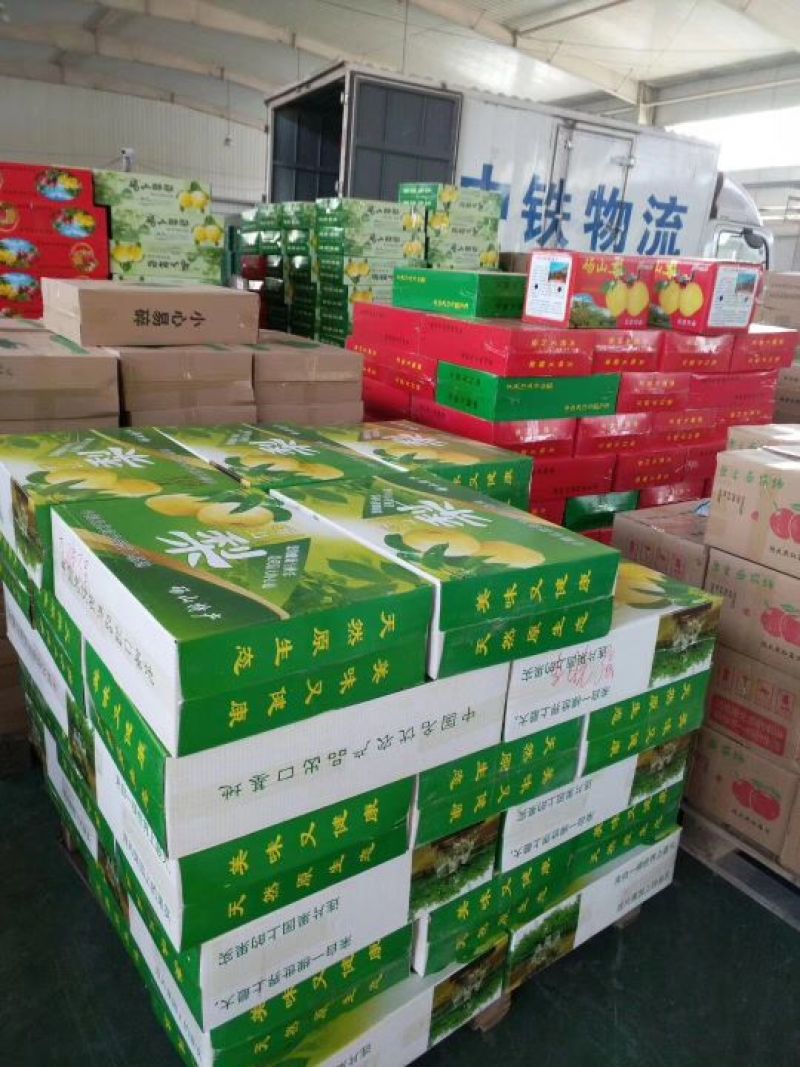 预售下年砀山梨250~300g纸加膜