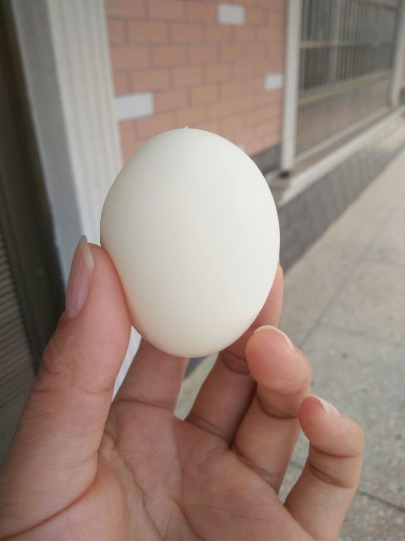 土鸡蛋50g以下食用