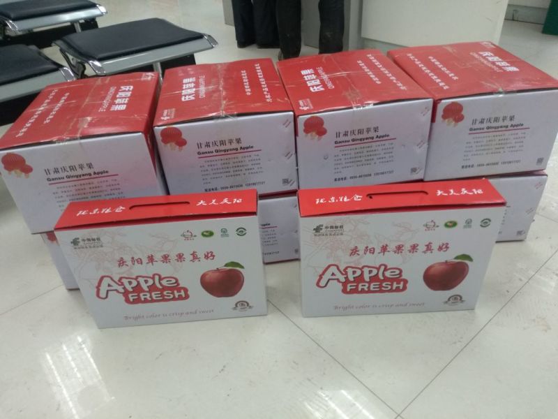 苹果甘肃庆阳红富士