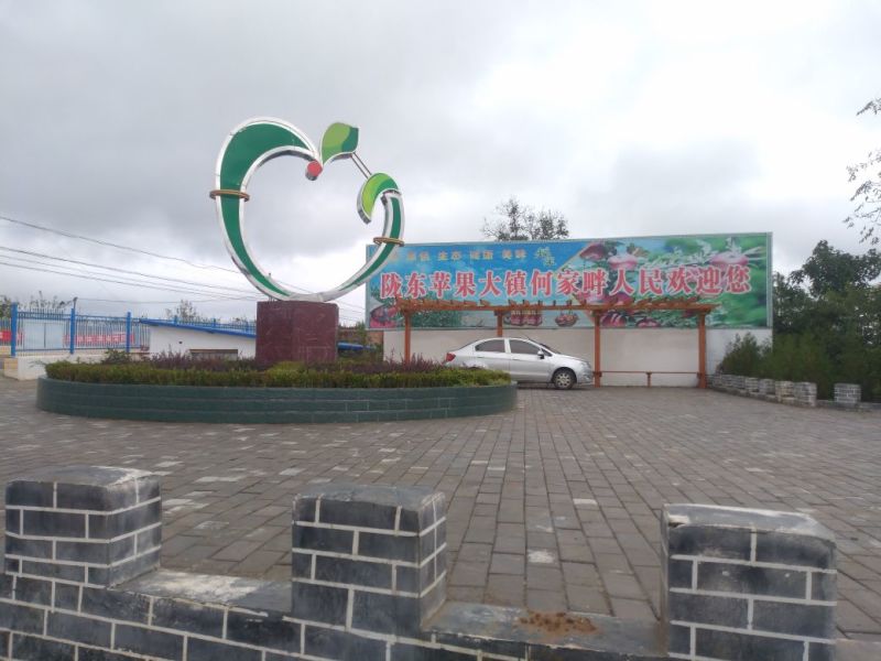 苹果甘肃庆阳红富士