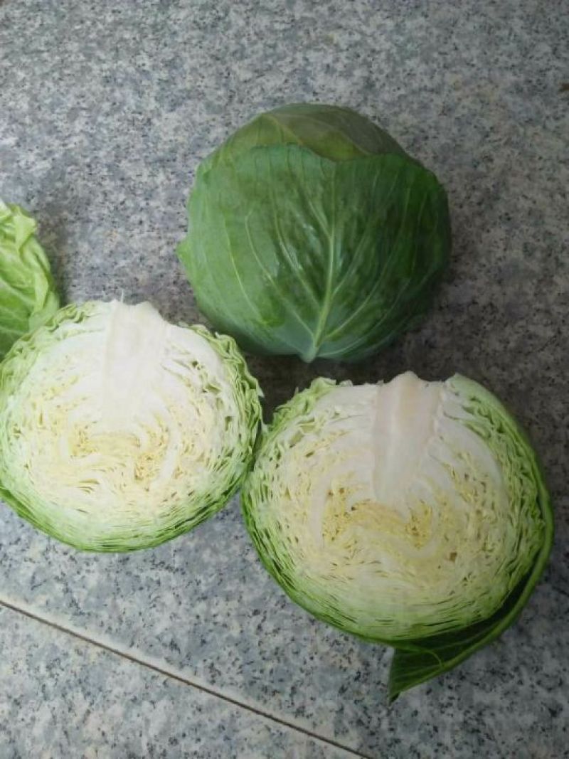 黄心菜白菜净菜4~6斤