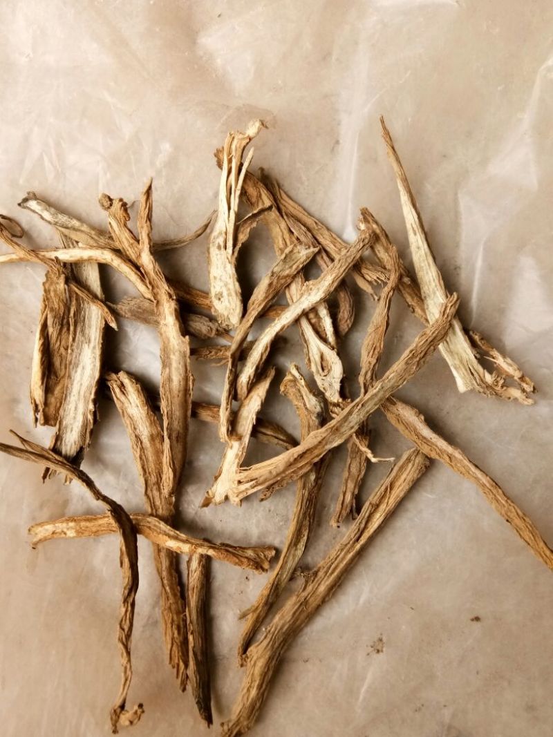 续断切片