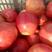 乔纳金苹果辽宁产地直供一手货源品质保证个地发货