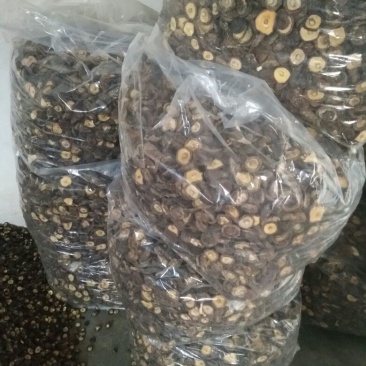 干香菇3cm以上