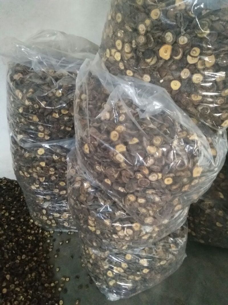 干香菇3cm以上