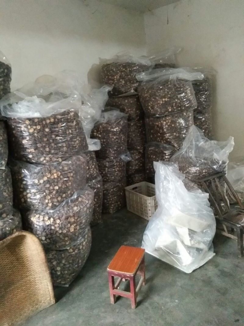 干香菇3cm以上