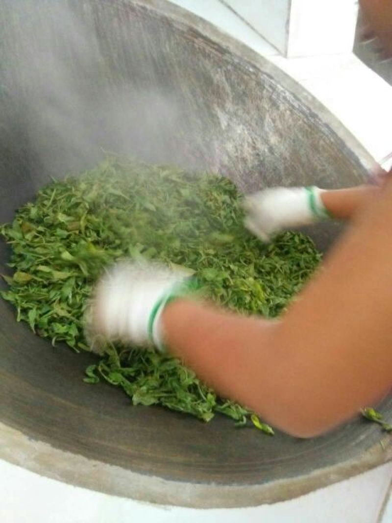 普洱茶二级