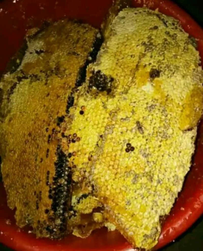 蜂蜜产地甘肃玉门蜂蜜蜜度高糖度大葵花蜜红花蜜