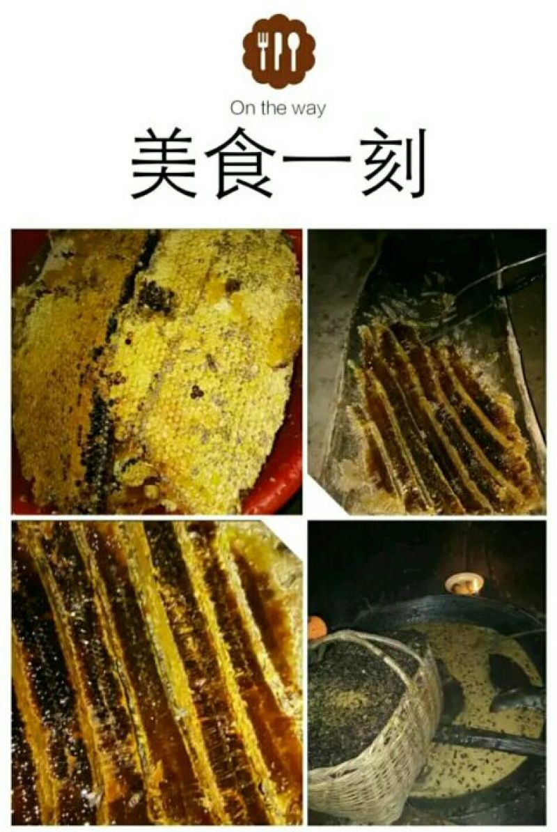蜂蜜产地甘肃玉门蜂蜜蜜度高糖度大葵花蜜红花蜜