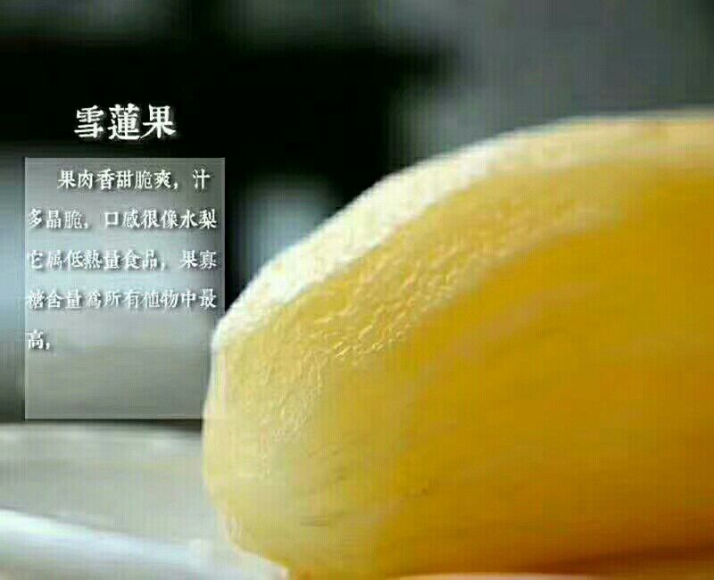 雪莲果3两以上