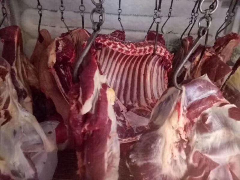 回购率高新鲜驴肉现杀现发一手货源量大优惠全国发货