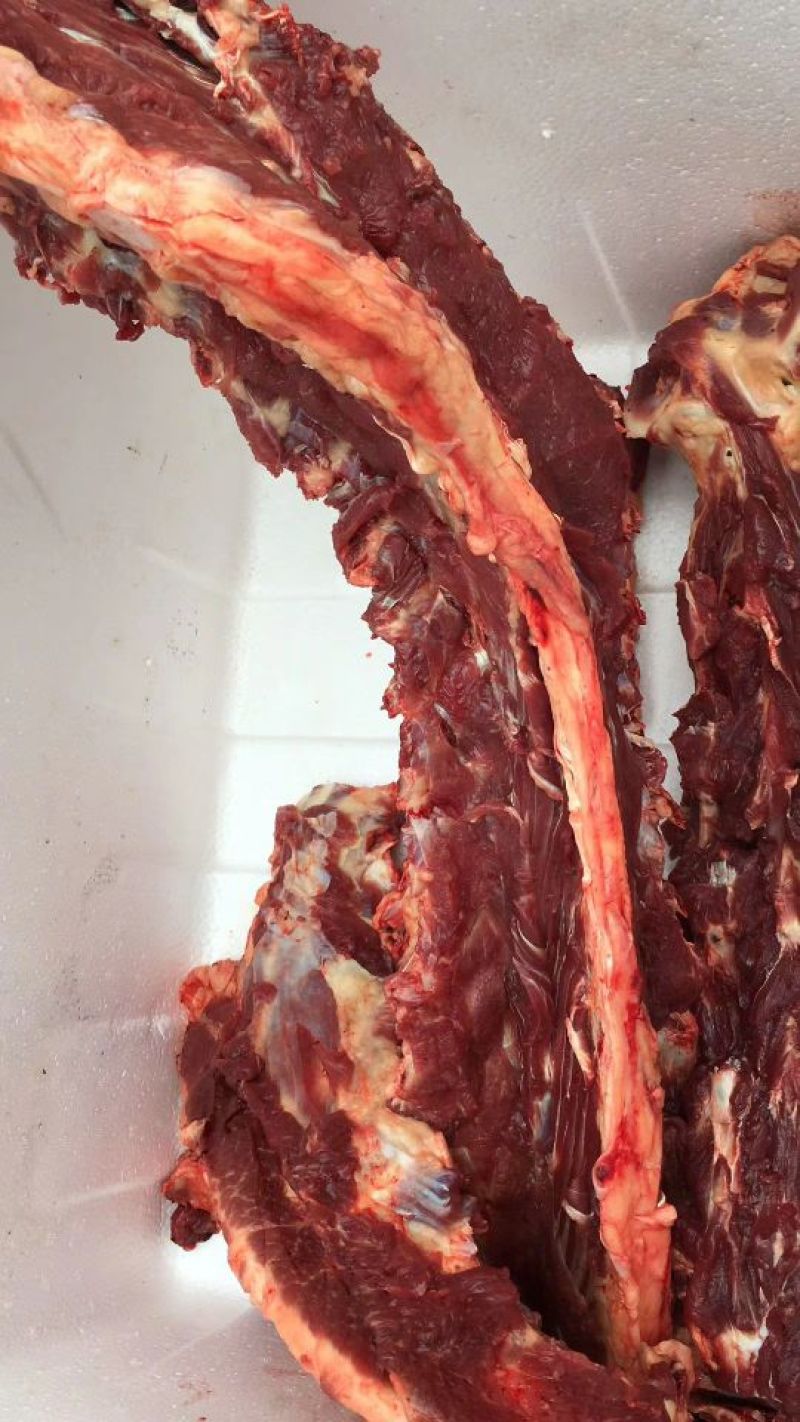 回购率高新鲜驴肉现杀现发一手货源量大优惠全国发货