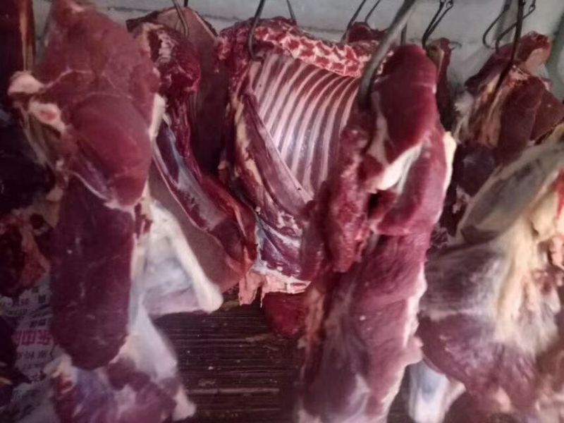 回购率高新鲜驴肉现杀现发一手货源量大优惠全国发货