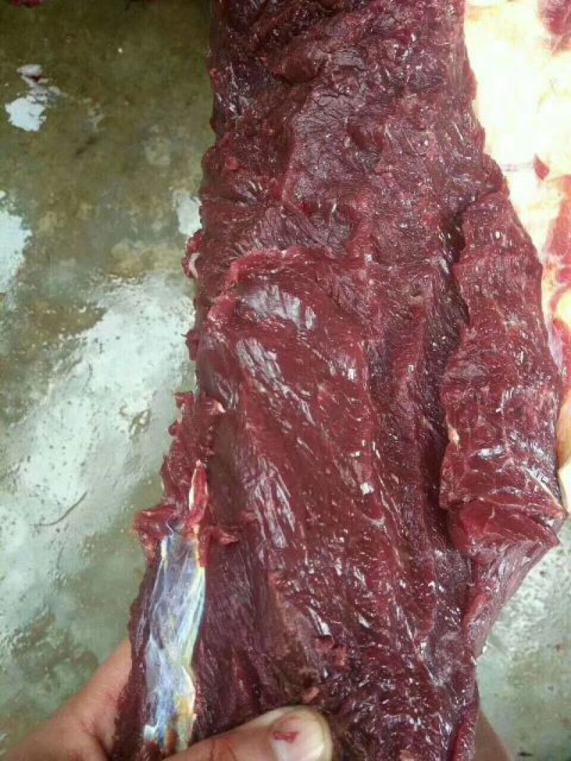回购率高新鲜驴肉现杀现发一手货源量大优惠全国发货