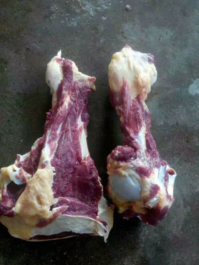 回购率高新鲜驴肉现杀现发一手货源量大优惠全国发货