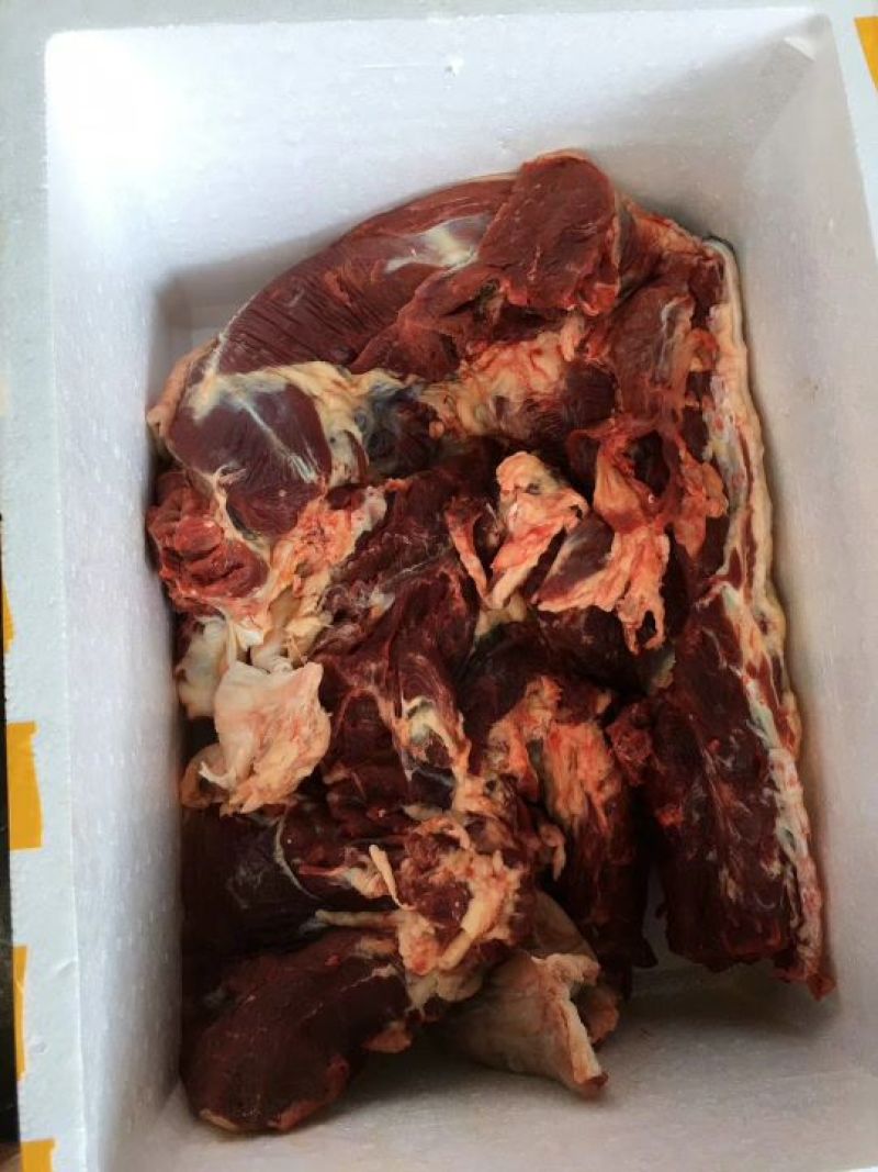 回购率高新鲜驴肉现杀现发一手货源量大优惠全国发货
