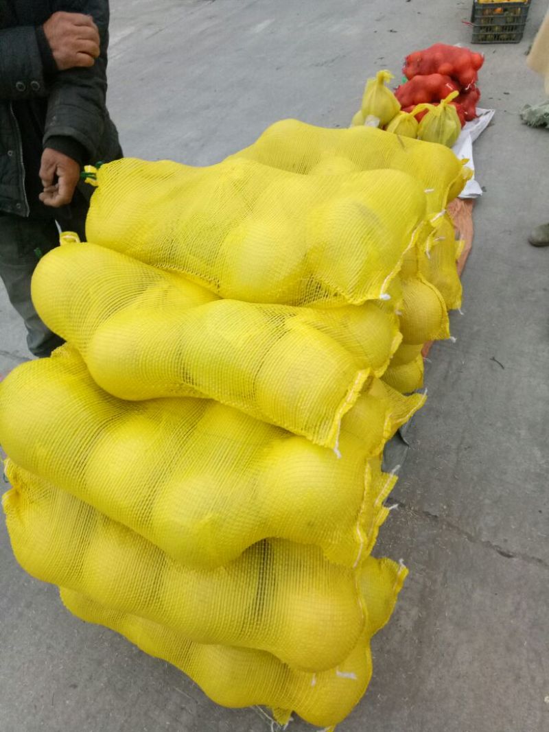 琯溪蜜柚1.8斤以上