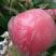 纸加膜红富士苹果，陕西礼泉苹果，一件代发，对接电商批发商