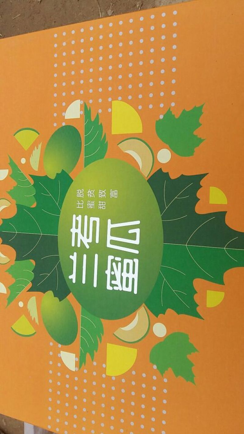 西州蜜瓜3斤以上长圆形