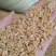 郑麦9023小麦12.5%以下