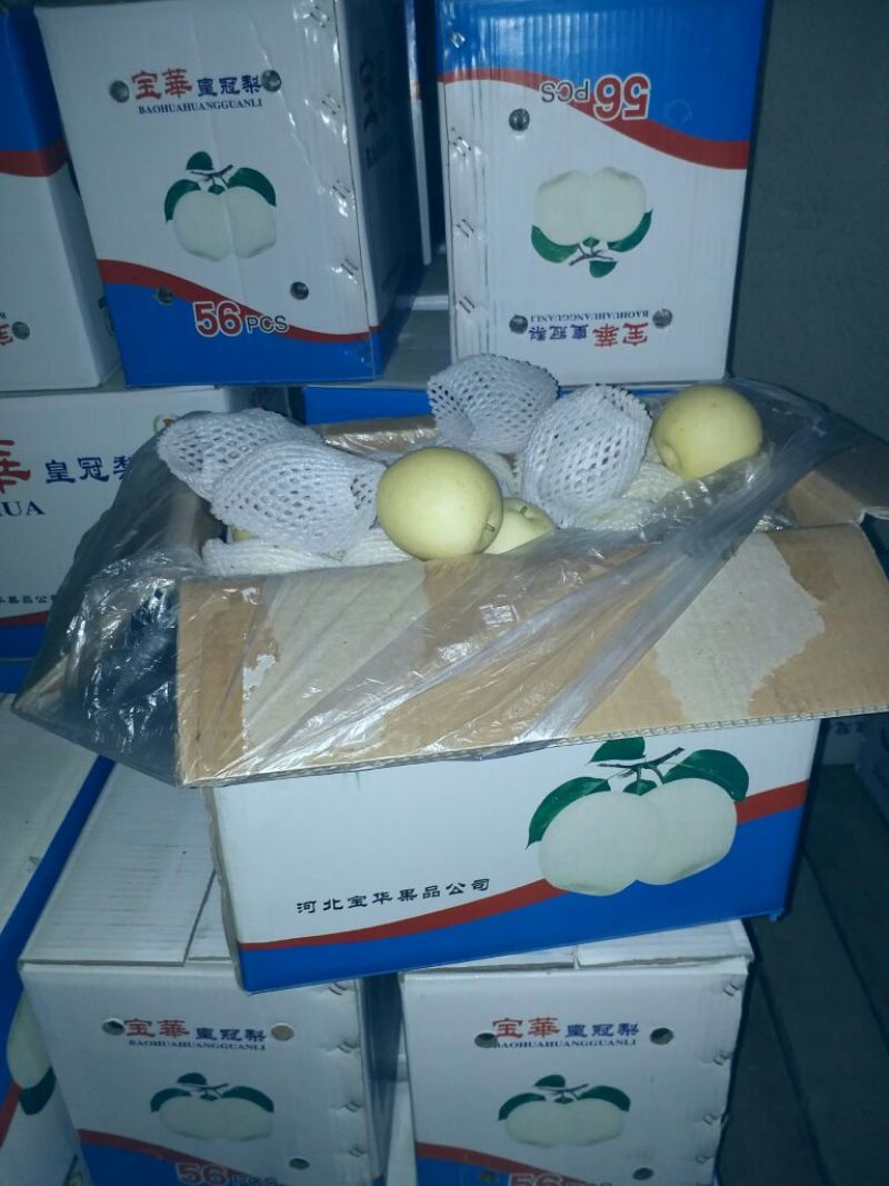 皇冠梨纸箱300~350g