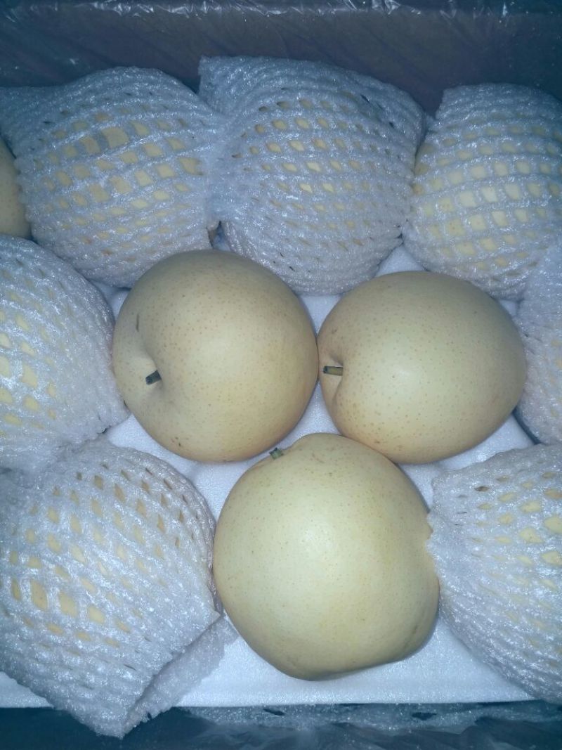 皇冠梨纸箱300~350g