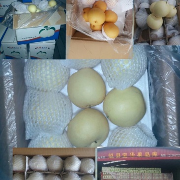 皇冠梨纸箱300~350g