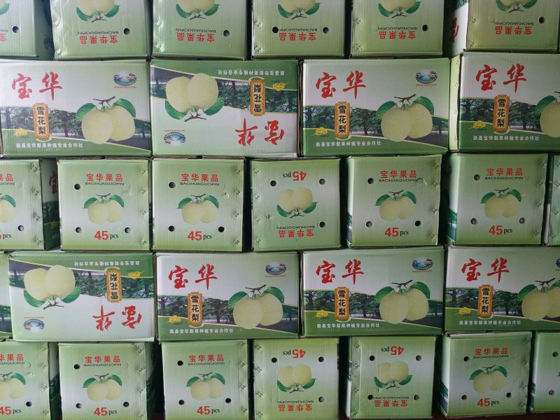 皇冠梨纸箱300~350g