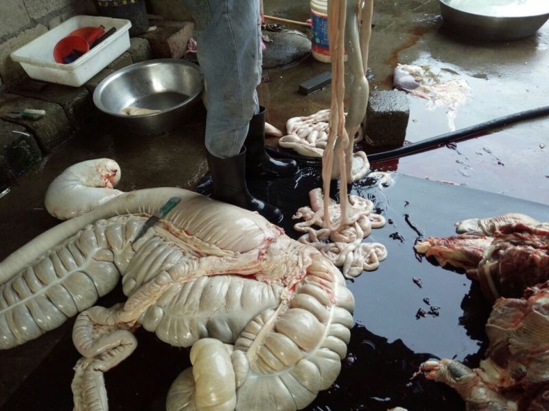 驴肉鲜货
