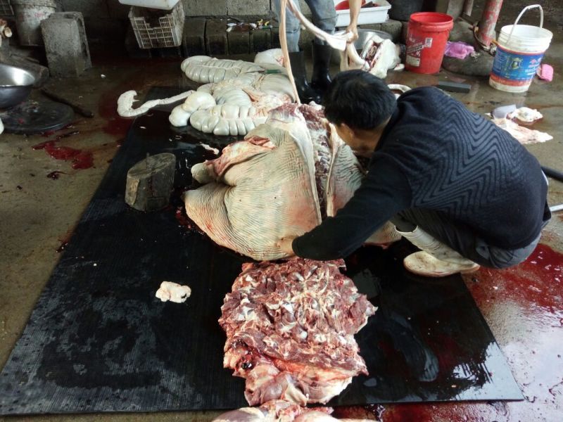 驴肉鲜货