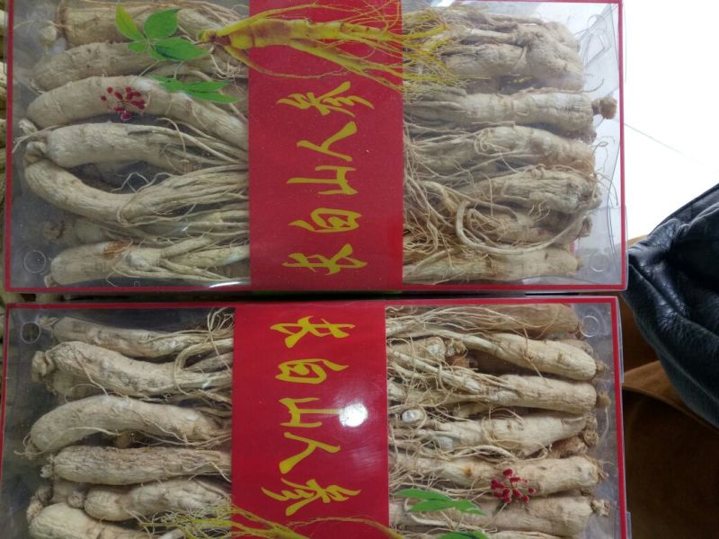 吉林人参东北干货一斤起包邮量大从优
