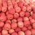 山西冰糖心红富士苹果80mm以上纸袋+膜袋