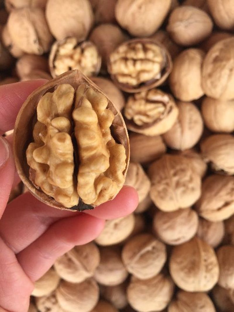 新货一手货源包退包换新疆核桃纸皮核桃185纸皮核桃
