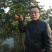 柿子树苗50~80cm