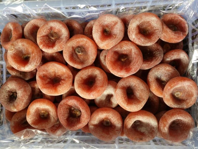 柿饼1~2两