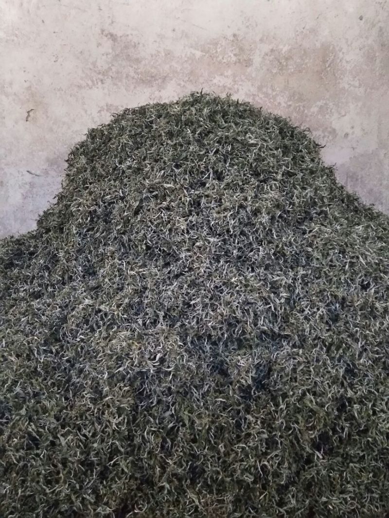 普洱茶一级