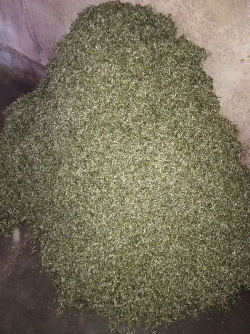 普洱茶一级