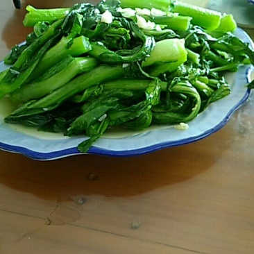 迟菜心40~50厘米