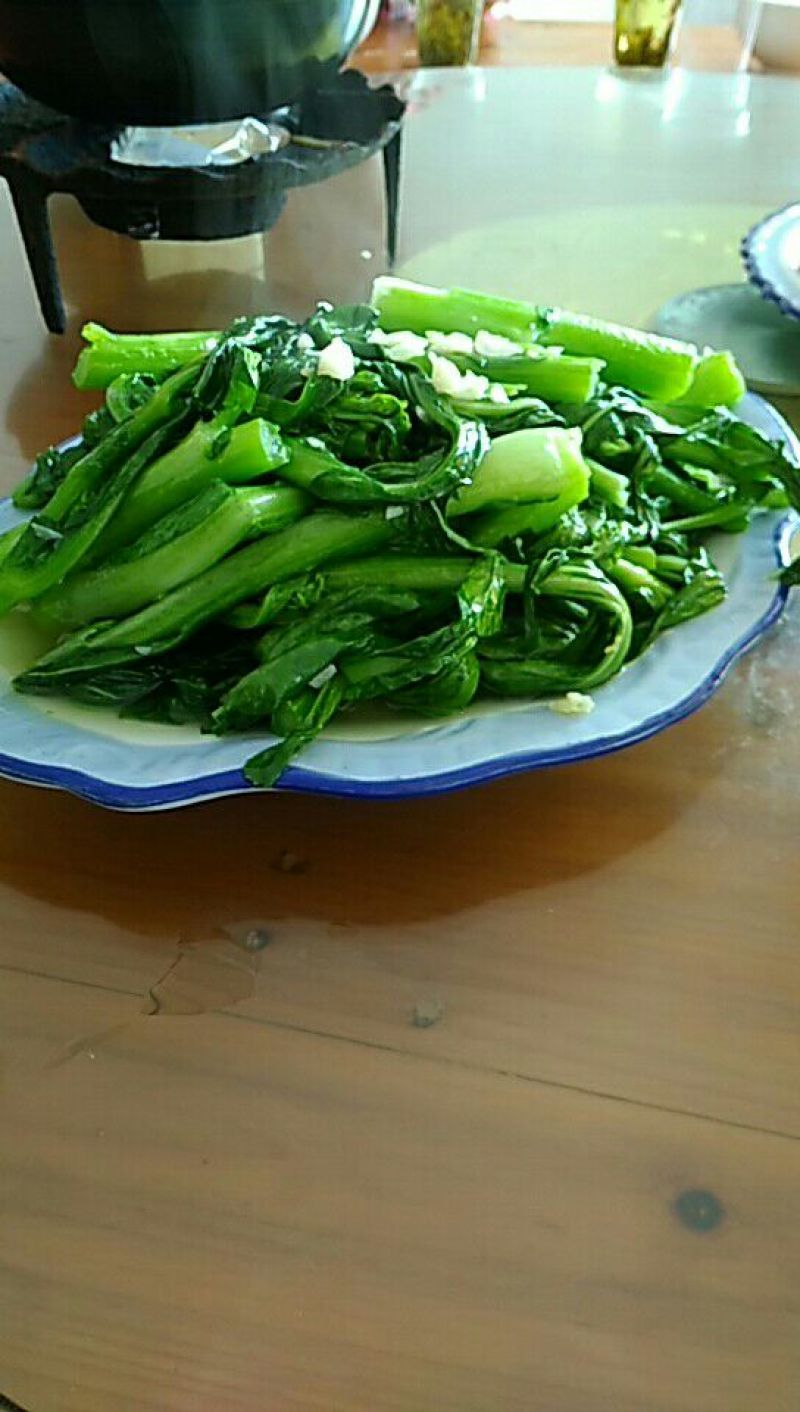 迟菜心40~50厘米