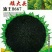 葵花种子