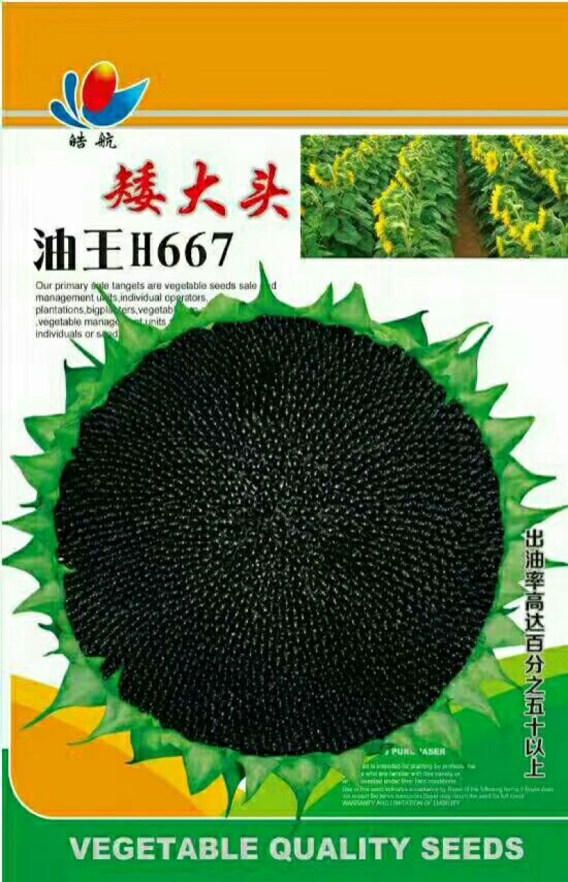 葵花种子