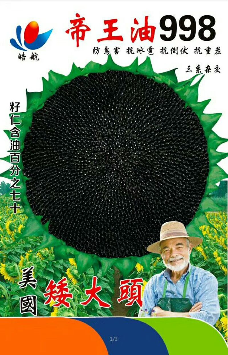 葵花种子