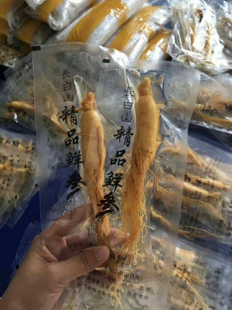 人参鲜